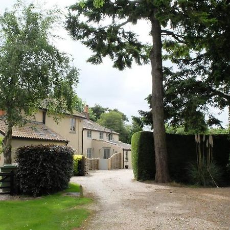 הולט Pippin Heath House B&B מראה חיצוני תמונה