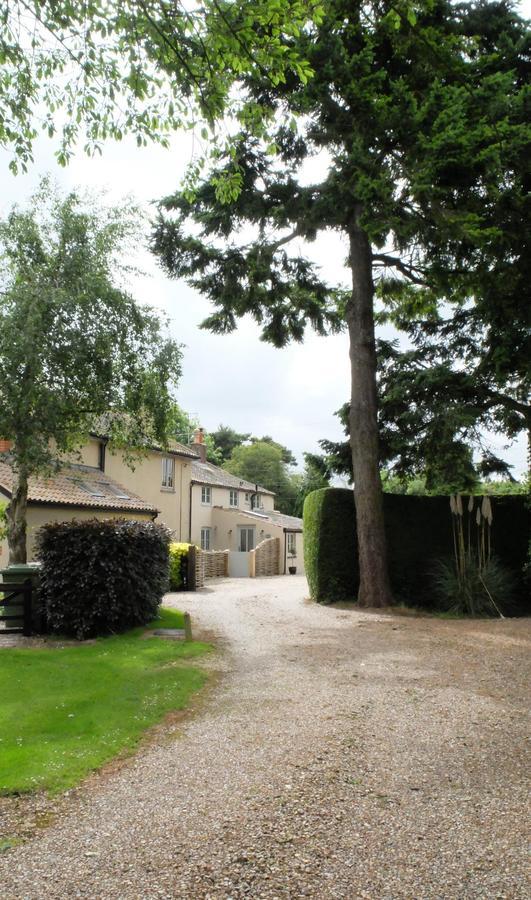 הולט Pippin Heath House B&B מראה חיצוני תמונה